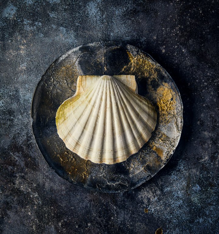 by gusto sea food 8