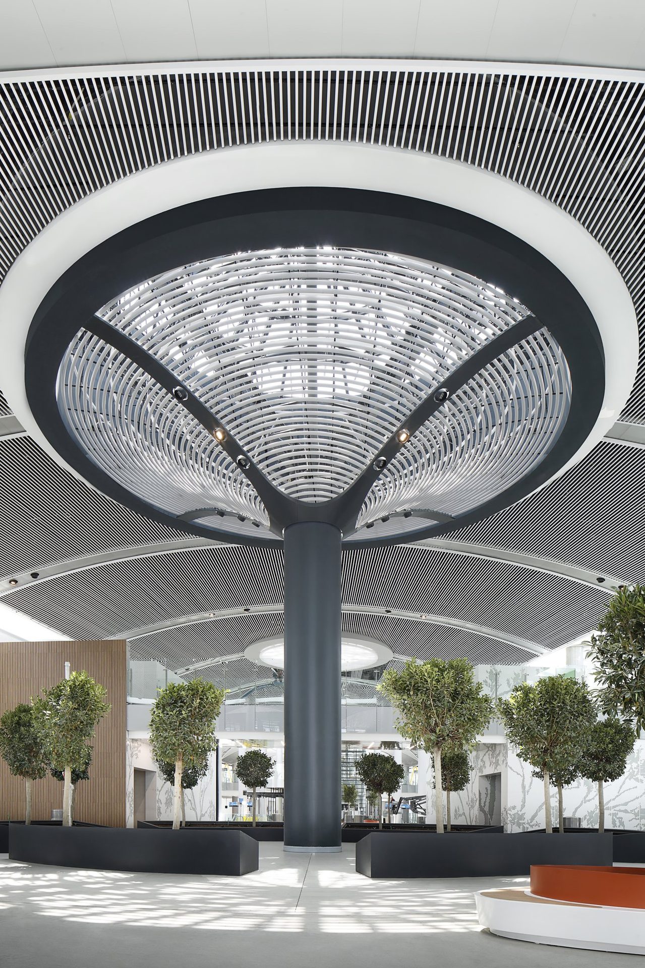  Airport