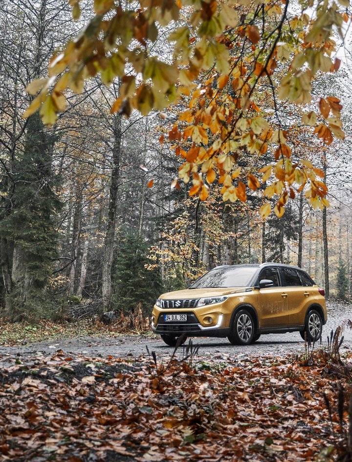 Suzuki Vitara doğa detailı
